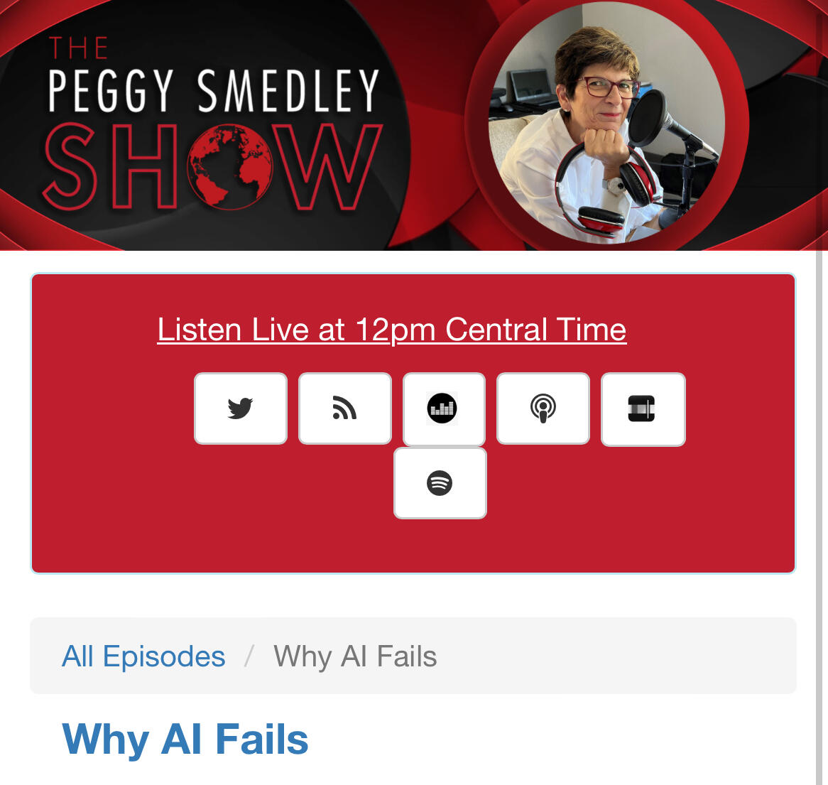 Andreas Welsch, chief AI strategist, Intelligence Briefing and author of the AI Leadership Handbook, talks about why 85% of AI (artificial intelligence) projects fail and how ethics play a role. He says he sees AI leaders chase AI as this shiny object.